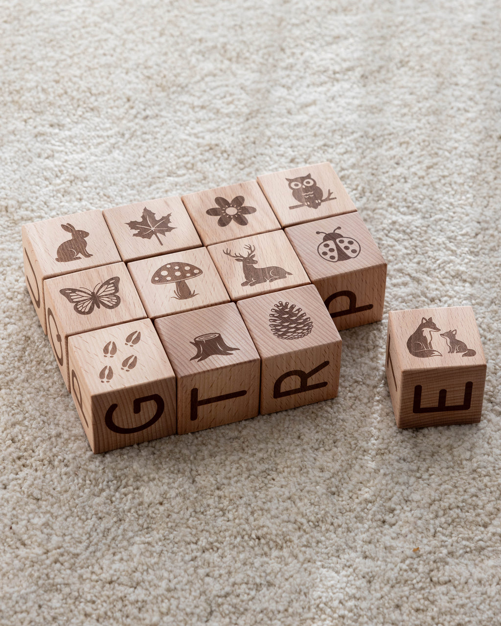 Bokstavsklossar set 12 st - naturtema